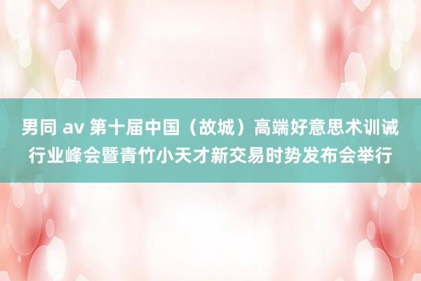 男同 av 第十届中国（故城）高端好意思术训诫行业峰会暨青竹小天才新交易时势发布会举行