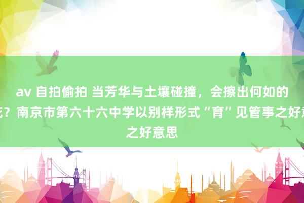 av 自拍偷拍 当芳华与土壤碰撞，会擦出何如的火花？南京市第六十六中学以别样形式“育”见管事之好意思