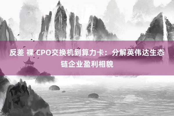 反差 裸 CPO交换机到算力卡：分解英伟达生态链企业盈利相貌