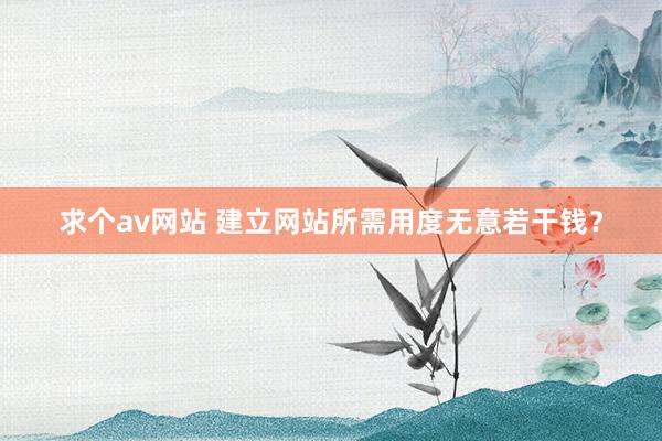 求个av网站 建立网站所需用度无意若干钱？