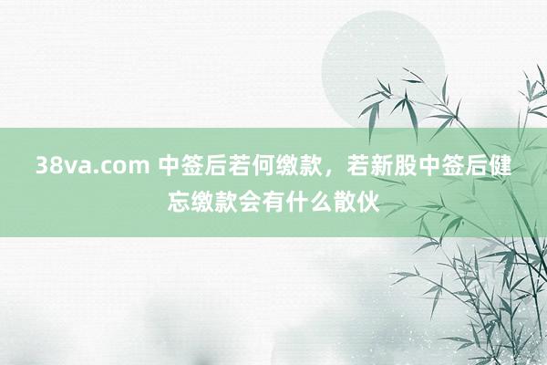38va.com 中签后若何缴款，若新股中签后健忘缴款会有什么散伙
