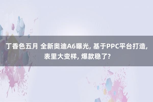 丁香色五月 全新奥迪A6曝光, 基于PPC平台打造, 表里大变样, 爆款稳了?