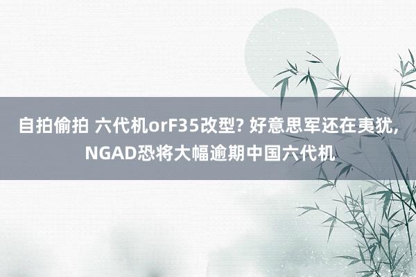 自拍偷拍 六代机orF35改型? 好意思军还在夷犹, NGAD恐将大幅逾期中国六代机