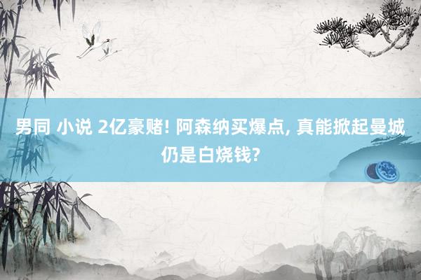 男同 小说 2亿豪赌! 阿森纳买爆点, 真能掀起曼城仍是白烧钱?