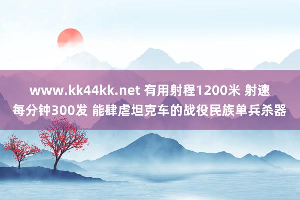 www.kk44kk.net 有用射程1200米 射速每分钟300发 能肆虐坦克车的战役民族单兵杀器