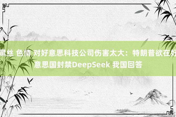 黑丝 色情 对好意思科技公司伤害太大：特朗普欲在好意思国封禁DeepSeek 我国回答