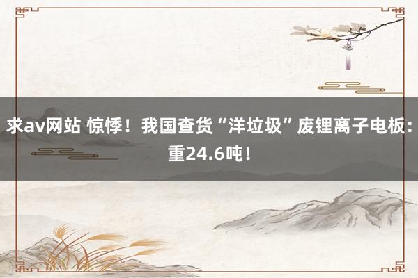 求av网站 惊悸！我国查货“洋垃圾”废锂离子电板：重24.6吨！