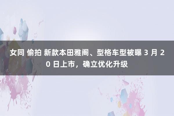 女同 偷拍 新款本田雅阁、型格车型被曝 3 月 20 日上市，确立优化升级